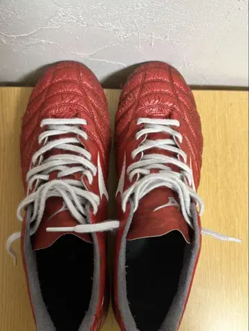 Mizuno Monarcida NEO2Japan