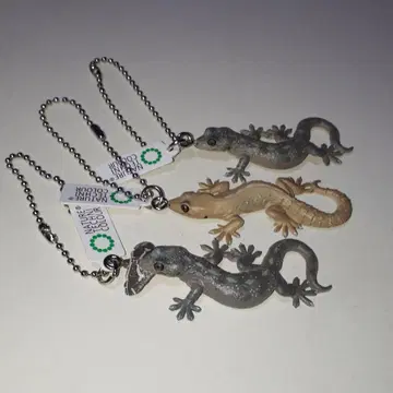 네이처 테크니컬러 도마뱀과 도마뱀붙이, 볼체인