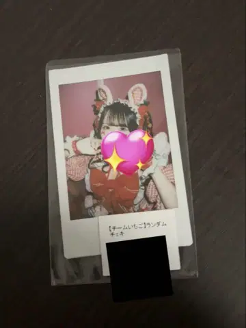 쿠리하라 마유 팀 딸기 랜덤 체키 란체키