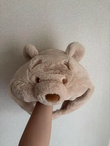 푸우 팬 캡