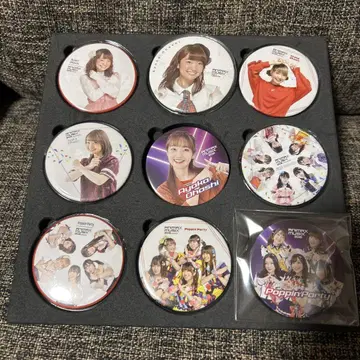 오하시 아야카 Poppin'Party ANIMAX 캔뱃지