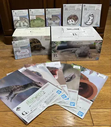 파충류&양서류 제일복권 묶음 판매