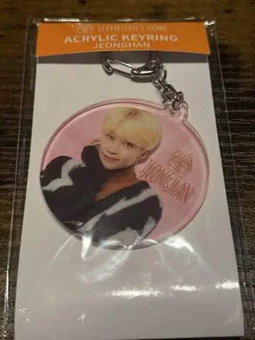 세븐틴 SEVENTEEN HOME 아크릴 키링 정한