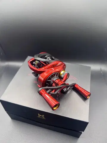 하이스터 오로라 에어 giu dragon