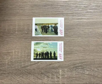 초특급 미니 사진