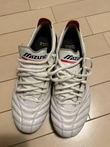모렐리아 네오4 26cm