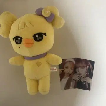 IVE minive NAORI 레이