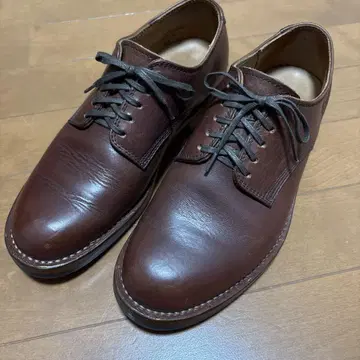 Danner 마나와 브라운