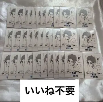 블루 록 이토시 사에 파샤코레 묶음 판매