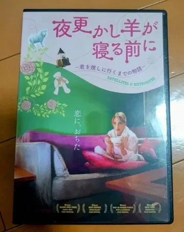 밤샘 양이 잠들기 전에