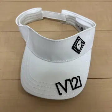 V12 선바이저