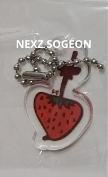 NEXZ SOGEON 소건 아크릴 키링 사웨 일본 710 하이터치