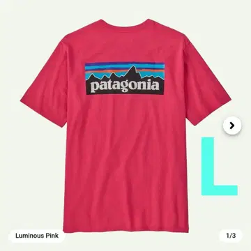 patagonia T셔츠 루미너스 핑크 38504 L