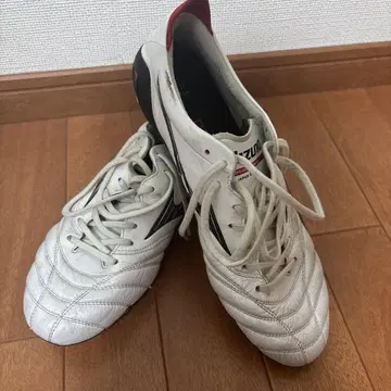 모렐리아 네오 IV JAPAN