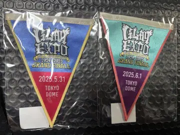 GLAY 30주년 도쿄돔 회장 한정 가랜드