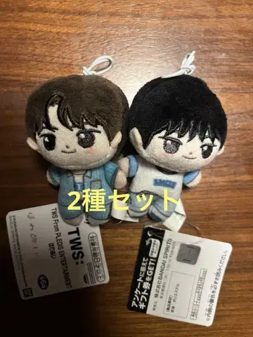 TWS 호와누이 봉제 인형 신유 도훈 2점 세트 마스코트