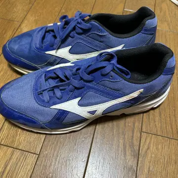 Mizuno 트레이닝 슈즈 파랑