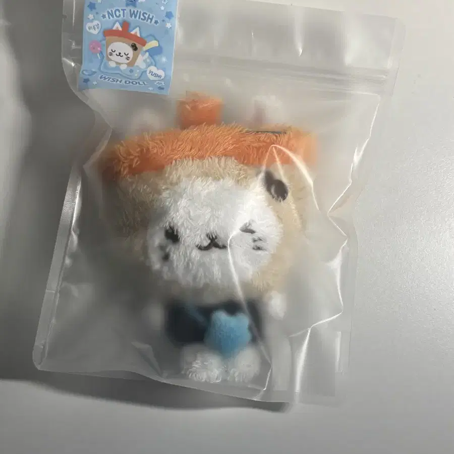 NCT | 엔시티 Nct Wish uushi Bubble Nyan unsealed with