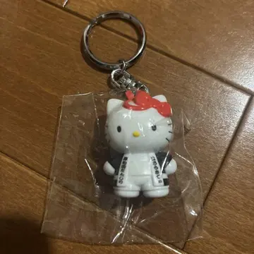 지역 한정 헬로키티 키티 키링 키시와다 단지리