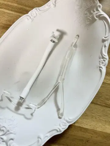 미니 브라이스 치치봉