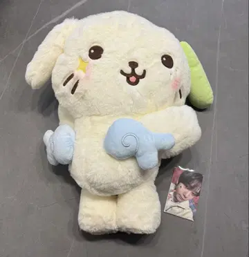NCT WISH RYO 료 백