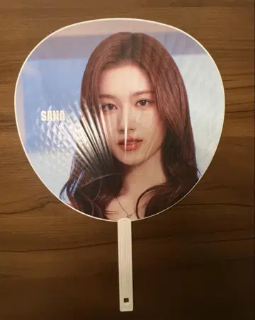 TWICE 사나 부채