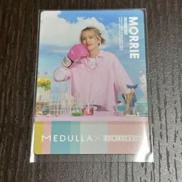 MEDULLA 헤어 카르테 카드 MORRIE