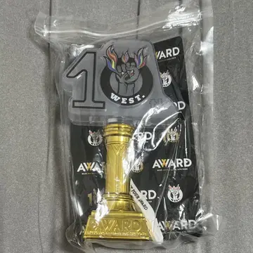 WEST 10주년 응원봉