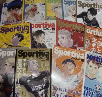 하이큐 소설판 sportiva 비주얼 보드 컴플리트