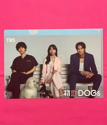 [첫사랑 dogs] 블랑치 파크 [A5 클리어 파일] 나이누