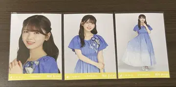 노기자카46 브로마이드 [ 츠츠이 아야메 ] 교감신경 우위 컴프