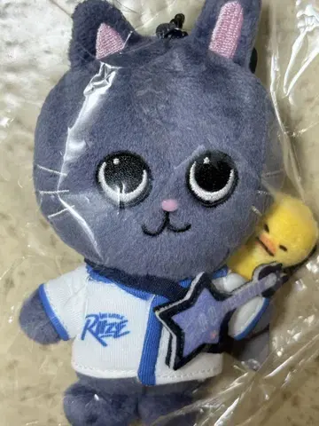 RIIZE 원빈 토냥덕 10cm 키링