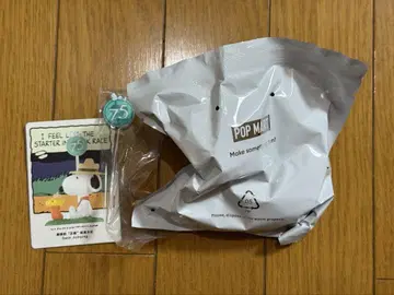 PEANUTS | 75주년 피규어 POP MART