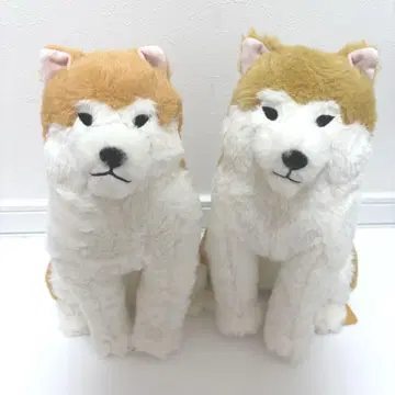 AMUFUN 포근한 아키타견 하치베 & 포카마루 봉제 인형 JB 사이즈