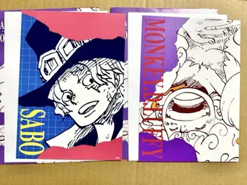 ONE PIECE 아트 카드 컬렉션 니카 사보 2장 세트