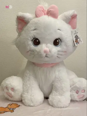 미사용 새상품 코스트코캣 봉제 인형 담요 마리