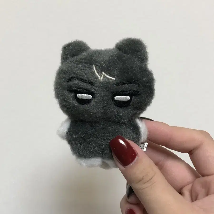 ENHYPEN | 엔하이픈 Enhypen Jay doll Nyangjjong-gun wts #엔