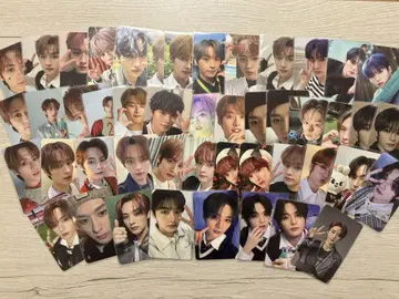 straykids 스키즈 리노 트레이딩 카드 묶음 판매