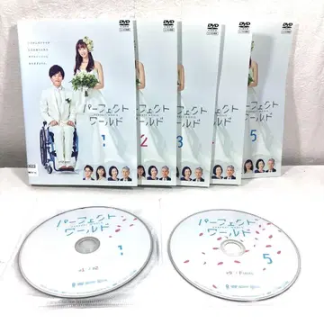 [ 전5권 ] 퍼펙트 월드 DVD 전권 세트