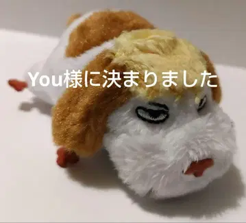 힌 키링 타입