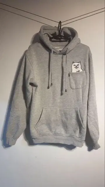 RIPNDIP 후드티