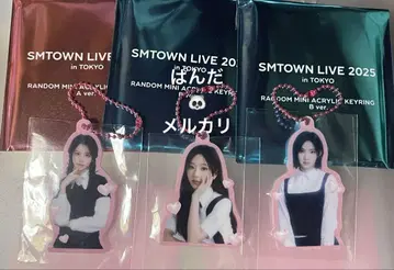 SMTOWN popup 키링 A B 비둘기 3세트
