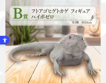 파충류 제일복권 B상 턱수염도마뱀 피규어 하이포제로