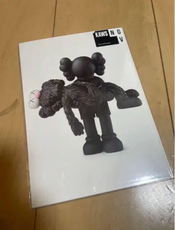 KAWS 카우스 NGV 한정판 엽서 01