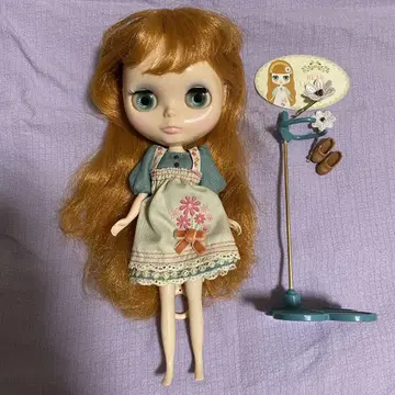 브라이스 디어레레걸