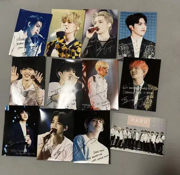 SEVENTEEN 로손 프린트 L판 승철