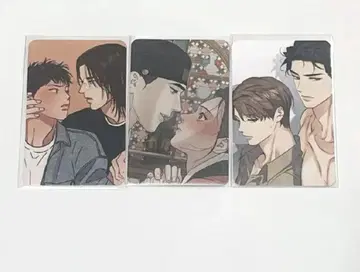 한국 BL 아침이 되었습니다 일본 한정판 야화첩 트레이딩 카드