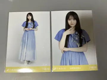 2001. 노기자카46 카와사키 벚꽃 브로마이드 세미 컴프