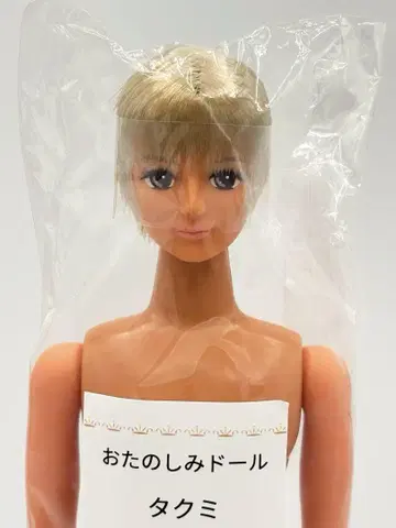 타쿠미 태닝 피부 블론드 계열 리카짱 캐슬 리틀 팩토리