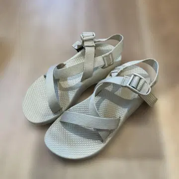 24cm Chaco Z1 CLASSIC 스포츠 샌들 아이보리
